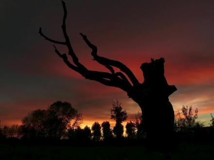 被拍到的无法解释的视频-未知生物#视觉震撼