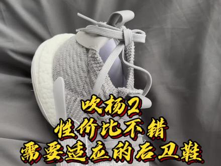性价比好后卫鞋!但这鞋子需要适应!浅谈下adidas特雷杨的吹杨2#球鞋测评 #抖音球鞋测评 #特雷杨2 #吹杨 @Bros_MC1