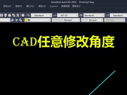CAD如何任意修改角度?#cad教程