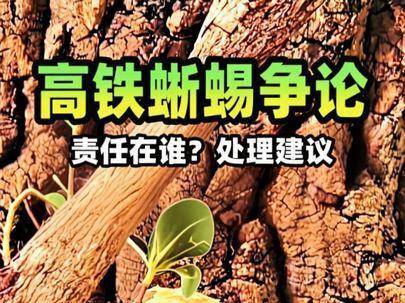答疑高铁蜥蜴争论🦎科普睫角守宫
#异宠#睫角守宫 #神奇动物在抖音 #爬宠 #保护动物