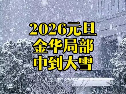 金华2026年新年第一场雪 #2026第一场雪 #金华下雪了