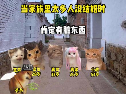 当家族里太多人没结婚时 #猫meme #搞笑 #万万没想到 #抽象