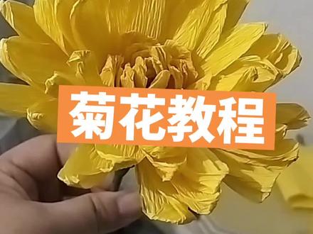 彩色皱纹纸,横着裁小花瓣10*30,大花瓣15*50,花托10*13叠几下两边剪斜成三角,竹签40*4