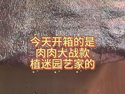你们都入了嘛?大家觉得合适嘛?评论区说说你们的看法~#每日分享 #记录多肉生活 #多肉植物 #多肉 #日常分享