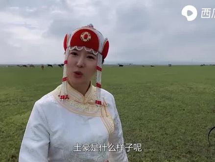 草原牧场主有多豪,一年的牛羊就能帮她赚5个亿#视频来源:上西瓜视频 搜索深度玩家@多多其木格