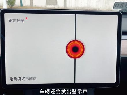 如何正确开启特斯拉的哨兵模式#特斯拉 #特斯拉model3 #特斯拉modely #徐晨的拍车日记