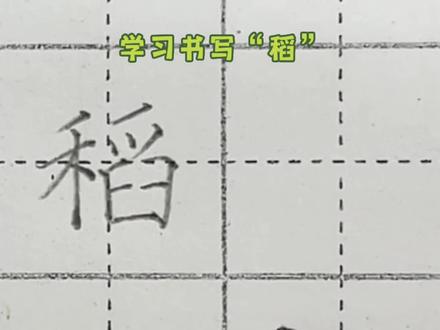 学习书写生字——“稻”,左小右大#练字 #硬笔书法 #书法 #教育 #学习 @DOU+小助手