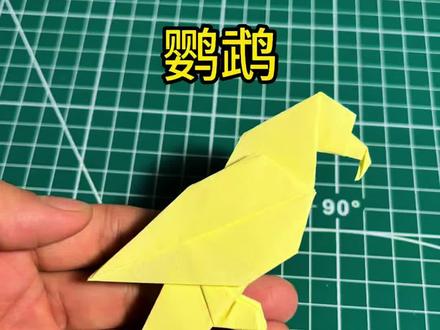 鹦鹉超详细折纸教程(适合零基础亲子互动)
#益智折纸手工 #折纸 #亲子互动 #折纸教程 #diy手工