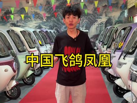 飞鸽电动车好骑还耐用 #人气电动车推荐 #老百姓的电动车 #凤凰品牌电动车 #中国凤凰电动车 #同城发现