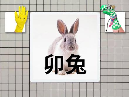 十二生肖之卯兔,这是你的属相吗?
#左左右右学画画 #十二生肖 #十二生肖之卯兔 #兔子简笔画 #一起学画画 #画画 #跟着抖音学画画 #创意美术 #亲子简笔画