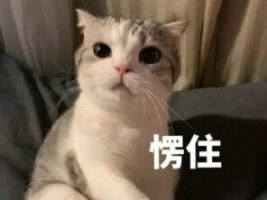 现实中真的有结婚当天反悔的吗?
#今日话题 #结婚 #彩礼