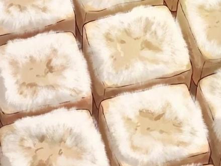 霉豆腐究竟是个啥? 霉豆腐究竟是个啥?#霉豆腐 #霉豆腐制作