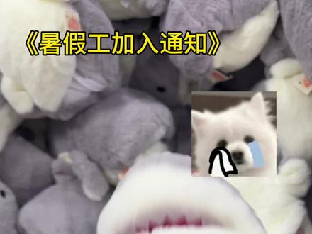 呜呜干不动了暑假工加入了!#鲨鲨 #小意的妙妙屋 #王小鲨