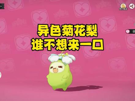 异色大青梨谁不爱呢#菊花梨#洛克王国世界