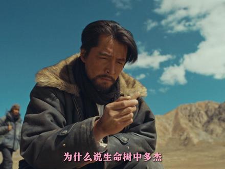 为什么说生命树中多杰是白菊、巡山队、甚至是玛治县领导班子的主心骨,一旦失去他,所有人仿佛都成为了失去灵魂的野兽。败露出各种怨恨与推诿。#生命树 #生命树杨紫守护高原绝境 #杨紫 #胡歌 #抖音精选