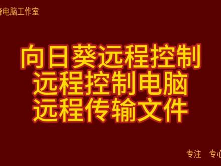 向日葵远程控制 远程控制电脑 远程传输文件#向日葵远程控制