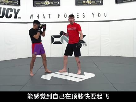 桑德哈根教学 普拉特斯站立打击技术