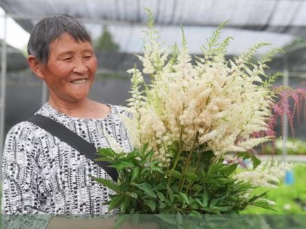 适合新娘手捧花的植物落新妇,非常耐阴,白色的品种就像光一样,给花园带来生机,推荐给大家~#花卉绿植 #海蒂的花园 #爱生活爱养花 #落新妇 #海妈