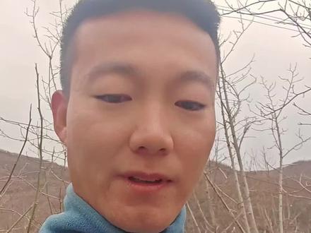 万万没想到。是我肤浅啦、本想不带把能卖个好价、而且比较好掐、结果…#辛夷 #万万没想到 #农村生活