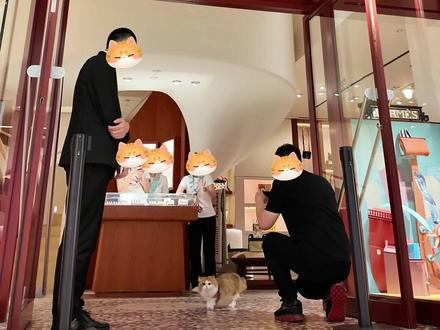 当猫界公子爷趁我不注意非溜去逛爱马仕#梅西家的猫 #梅西的猫 #网红猫 #梅西之家#神奇动物在抖音 @梅西之家 @阿夫Ashraf