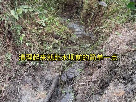 让大山里荒废的水坝,重新投入使用是什么体验? #溪流改造 #水坝 #维护 #养鱼 #抖音商城