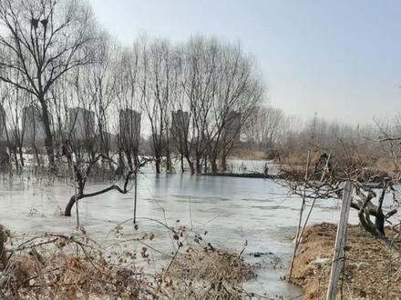 保定市竞秀区张海庄地下井冒水离奇故事