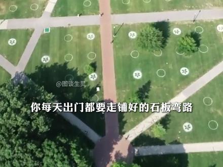 为什么人总爱抄近道? #底层代码 #抄近道 #公园