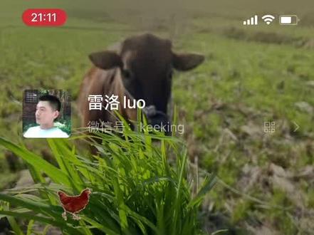 如何在微信养鸡?
#微信农场
#QQ农场
#微信小技巧