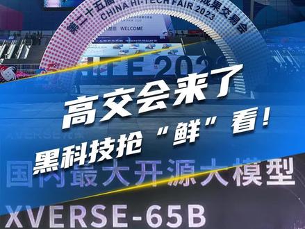 11月15日,国内最大“开源大模型”亮相深圳高交会!Ai帮你写代码,快速完成#深圳 #深圳dou知道