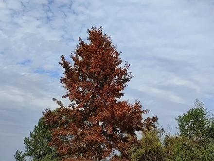 纵有疾风起,人生不言弃!