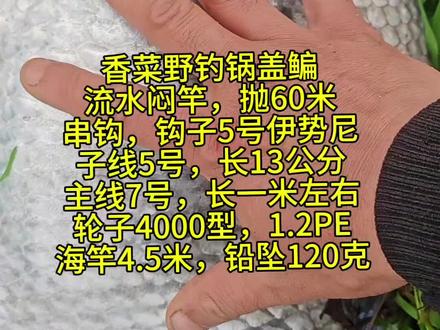 赣江昌邑香菜野钓锅盖鳊,香菜挂钩方法 #春天总要出门钓一次鱼吧 #创作者中心 #创作灵感 #抖音钓鱼人 #分享钓鱼技巧