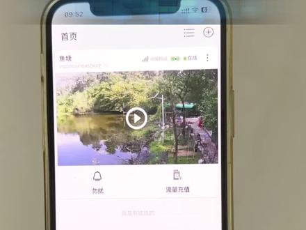 小鹰看看最新版本如何关闭广告#教程来了