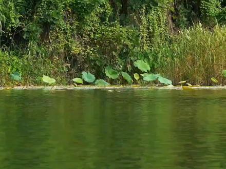 剪映文字掉落水面制作教程值得你学习了解认真看完教程就一定会 #剪映视频剪辑制作教程