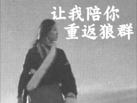 欢迎收听《让我陪你重返狼群》#李微漪 #格林#重返狼群