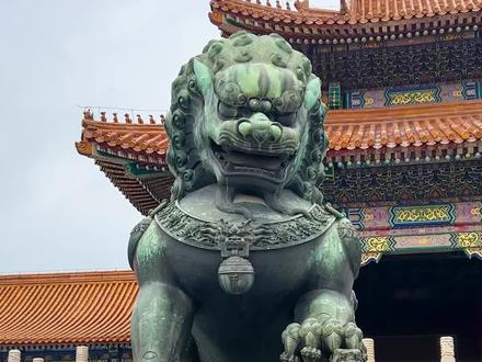 这是故宫最大的一对青铜狮,中国古代大型建筑前面为啥爱放狮子,而不老虎?它是实心的还是空心的?听大咖说北京讲师刀哥为你讲述太和门前的青铜狮,到底有何讲究!#博物馆 #故宫博物院 #刀哥讲故宫 #爱上博物馆