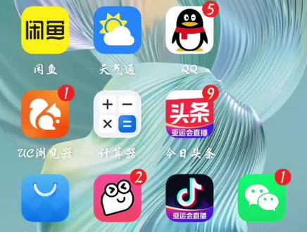 #手机 #一步查看你的苹果是印度产还是国产,注意in china.