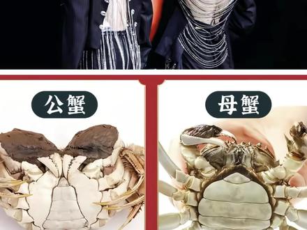 看到姐妹这个比喻,我真的忍不住哈!#云熠 #综艺神画面 #云旗郝熠然演唱会