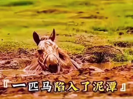 圈子的共振,贵人的相助,自己觉醒,打破自己。