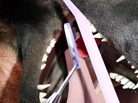 切掉狗狗的声带对狗狗有什么影响?