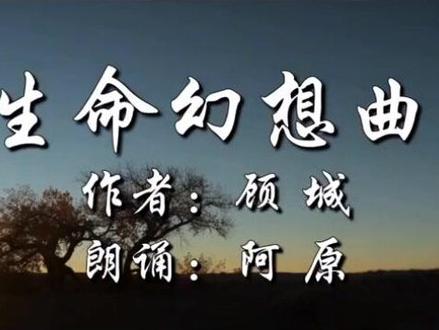 顾城(1956—1993)朦胧诗代表人物