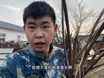 东北小伙不花一分钱搭建简易小暖棚,准备扣韭菜,可惜风太大! #田园生活 #农场日记 #我的乡村生活 #回家干农活 #三农