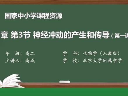 2-3神经冲动的产生和传导(第一课时)