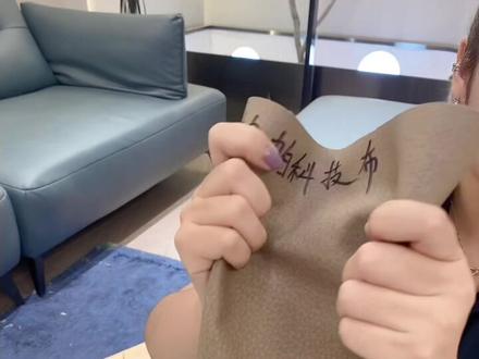 科技布的讲解@DOU+小助手 #家具 #沙发 #家具人