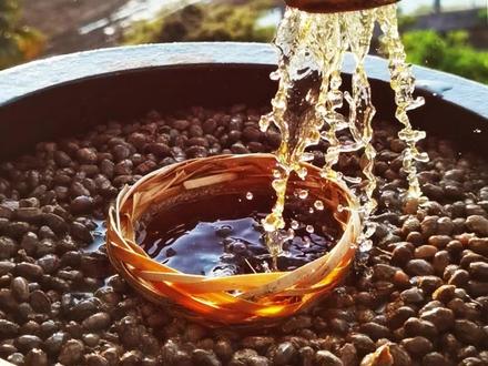 做一款酱油,没有科技与狠活,可以酱油拌饭,有小时候的味道,当然还要足足晒够180天。#乡村美食 #传统手艺 #纯手工制作 #无添加