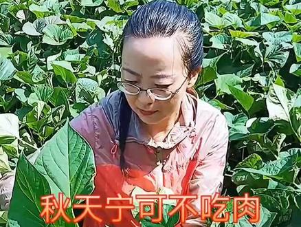 健康长寿菜你吃过吗#记录真实生活 #家常菜 #红薯叶 #家常菜 @上热门 @抖音热点