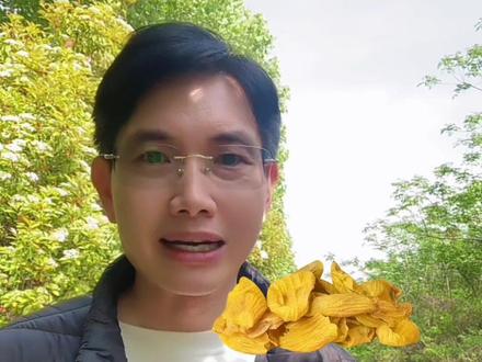 中药炮制中的麸炒是日常中炮制方法之一,而且实用性极强#真实生活分享计划 #传承中医食疗文化 #中药炮制 #非遗文化