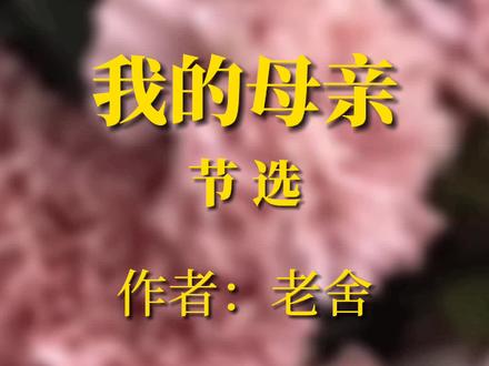 #老舍 #我的母亲 节选 送一束康乃馨给您的母亲吧。