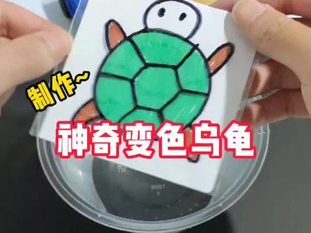 这个会变色的神奇小乌龟,真是太有趣啦!#搞笑 #手工 #实验 #揭秘 #一口气看完系列
