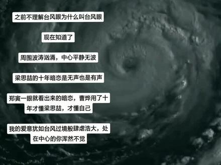 戒烟,戒酒,戒你,太难了
#台风眼#梁思喆#曹烨