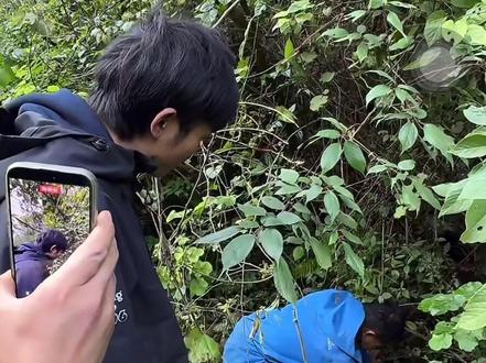 林北发现山药带主播去挖 被苗王截胡 北北哭了#老六荒野求生